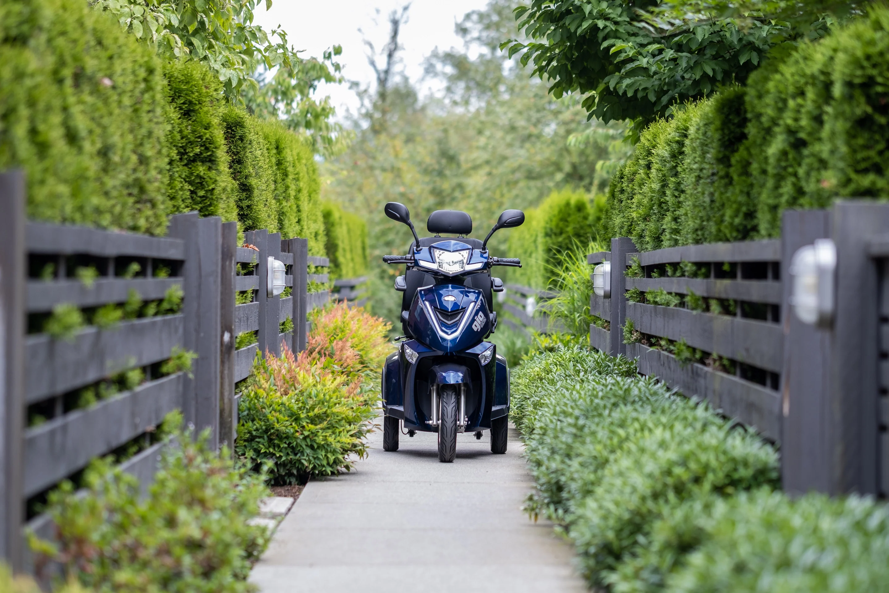 Redefining Freedom With Elegant Motion
